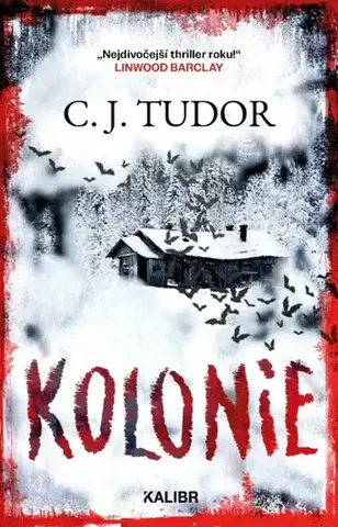 Detektívky, trilery, horory Kolonie - C. J. Tudorová,Naďa Špetláková