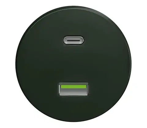 Predlžovacie káble lap - Retro USB zásuvka A+C bez rámika zelená Z/USB