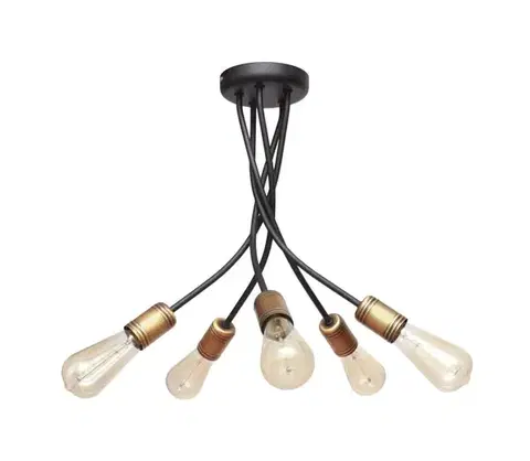 Svietidlá  Luster na tyči HARVARD 5xE27/15W/230V W-1026/5 BK+AB