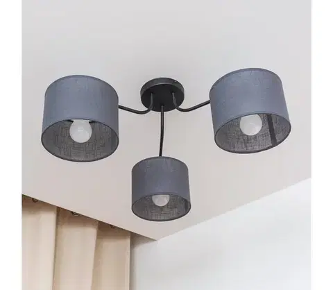 Svietidlá  Prisadený luster ALBA 3xE27/15W/230V sivý P-2015/3 BK+GR