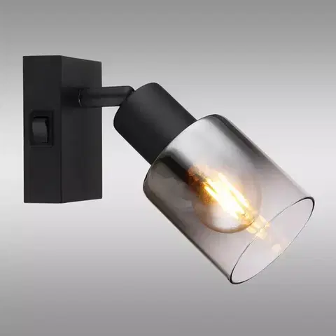 Lampy do obývačky Nástenná lampa Hubertus 54308-1 K1