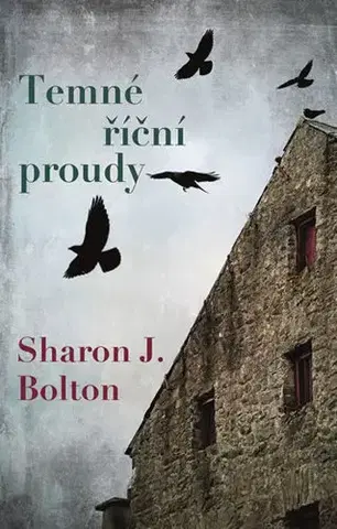 Detektívky, trilery, horory Temné říční proudy - S. J. Bolton