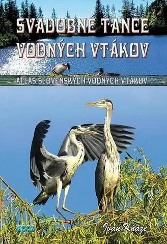 Príroda Svadobné tance vodných vtákov - Ivan Kňaze