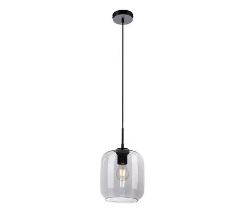 Svietidlá Paul Neuhaus 2002-25 - Luster na lanku SHITAKE 1xE27/10W/230V pr. 20 cm dymová 2002-25