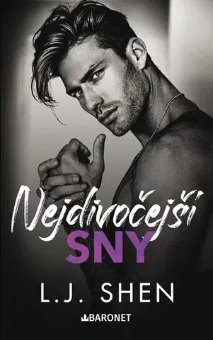 Romantická beletria Nejdivočejší sny - L. J. Shen,Eva Brožová