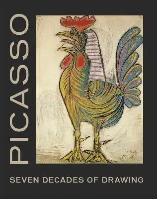 Maliarstvo, grafika Picasso: Seven Decades of Drawing - Olivier Berggruen,Christine Poggi