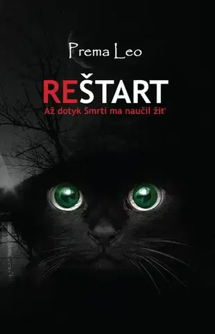 Romantická beletria Reštart - Leo Prema