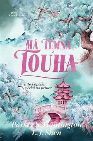 Romantická beletria Má temná touha - L. J. Shen