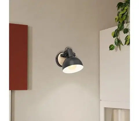 Svietidlá Eglo 44057 - Nástenné svietidlo LUBENHAM 1xE27/28W/230V 44057