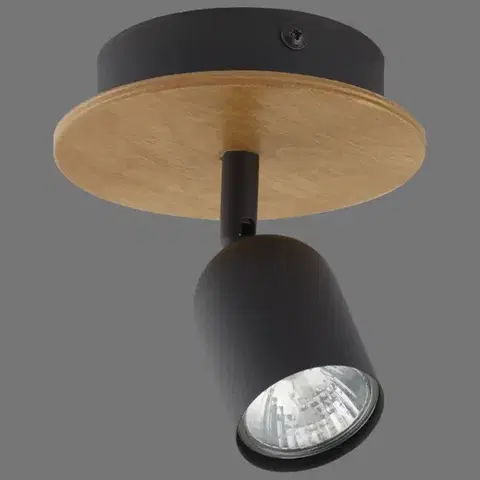 Lampy do obývačky Bodové svietidlo Top Wood CD 3290 K1