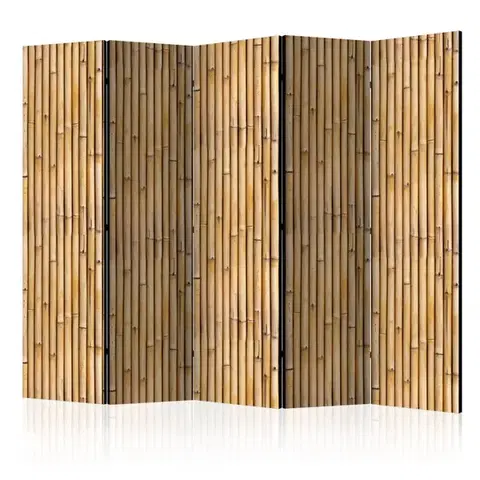Paravány Paraván Amazonian Wall Dekorhome