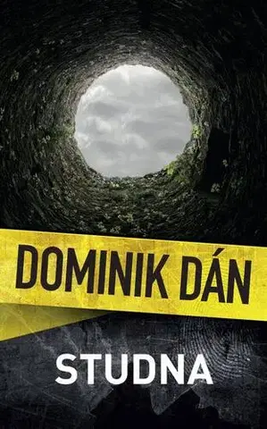 Detektívky, trilery, horory Studna - Dominik Dán