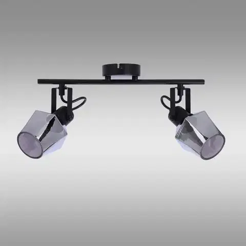 Lampy do obývačky Stropné bodové svietidlo Randi 92-13361 LS2