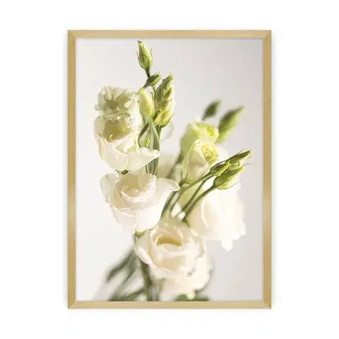 Obrazy Plagát Elegant Flowers