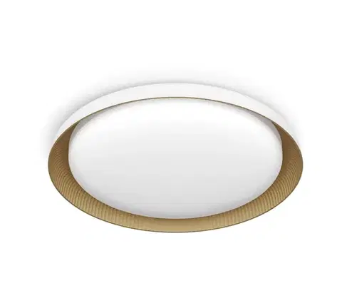 Svietidlá Philips - LED Stmievateľné stropné svietidlo PEBBLO LED/10W/230V 4000K biela 8720169301078