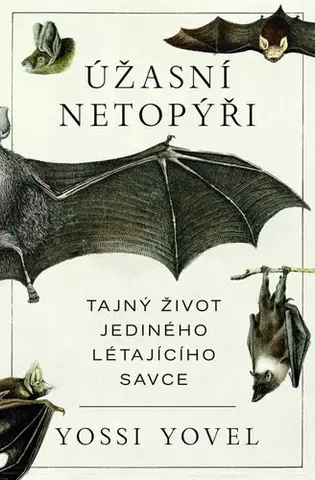 Biológia, fauna a flóra Úžasní netopýři - Yossi Yovel,Robert Doležal