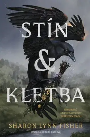 Sci-fi a fantasy Stín a kletba - Sharon Lynn Fisher,Johana Tkáčová