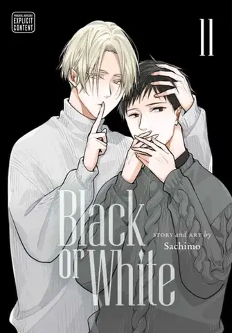 Beletria - ostatné Black or White, Vol. 11 - Sachimo