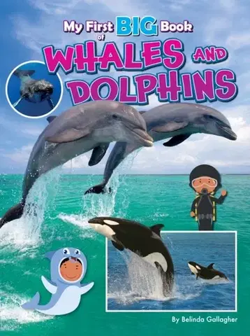 Encyklopédie pre deti a mládež - ostatné My First BIG Book of WHALES and DOLPHINS - Belinda Gallagher