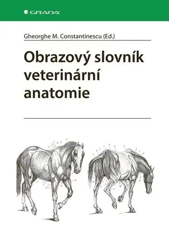 Veterinárna medicína Obrazový slovník veterinární anatomie - Gheorghe M. Constantinescu