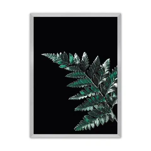 Obrazy Plagát Dark Leaf