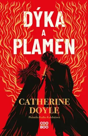 Young adults Dýka a plamen - Catherine Doyle2