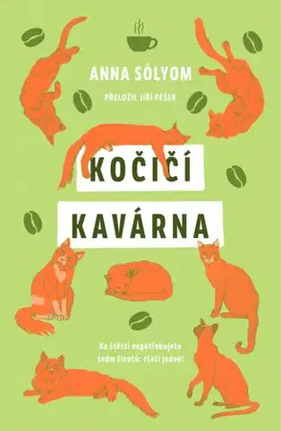 Svetová beletria Kočičí kavárna - Anna Sólyom,Jiří Pešek