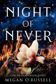 Beletria - ostatné Night of Never - ORussell Megan