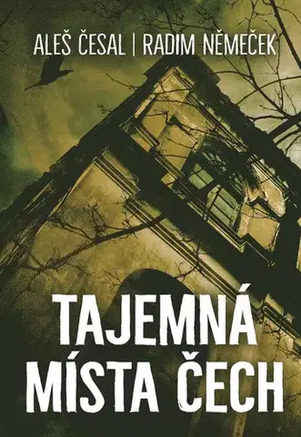 Ezoterika - ostatné Tajemná místa Čech - Aleš Česal