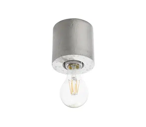 Svietidlá  Stropné svietidlo SALGADO 1xE27/60W/230V betón SL.0678