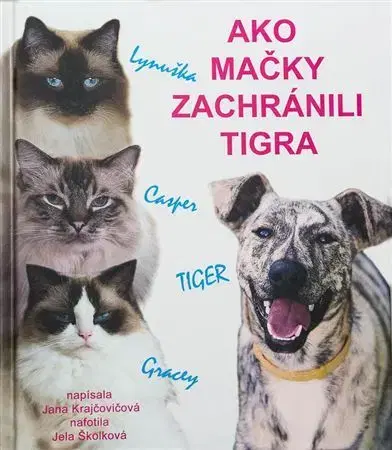 Pre deti a mládež - ostatné Ako mačky zachránili tigra - Jana Krajčovičová