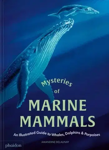 Encyklopédie pre deti a mládež - ostatné Mysteries of Marine Mammals - Amandine Delaunay