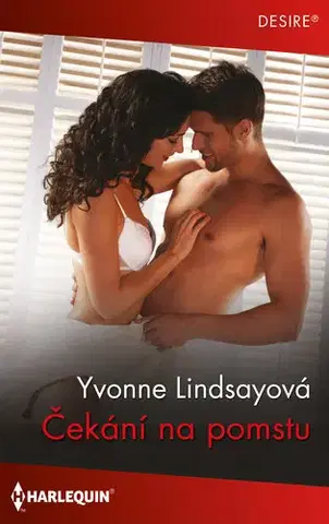Beletria - ostatné Čekání na pomstu - Yvonne Lindsay