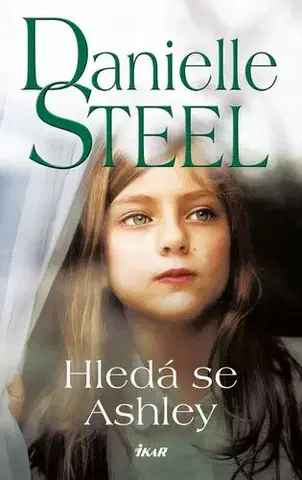 Romantická beletria Hledá se Ashley - Danielle Steel