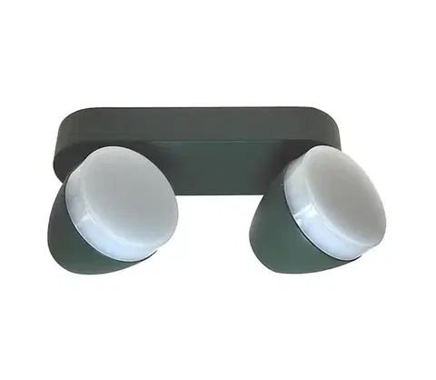 Svietidlá  LED Bodové svietidlo SURMUR 2xLED/6W/230V zelená SKU013076