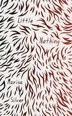 Cudzojazyčná literatúra Little Nothing - Marisa Silver