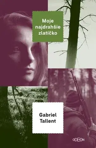 Svetová beletria Moje najdrahšie zlatíčko - Gabriel Tallent,Alojz Keníž
