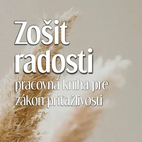 Rozvoj osobnosti Zošit Radosti - Michal Drienik