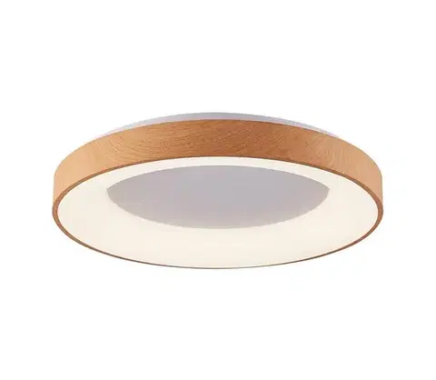 Svietidlá Azzardo  - LED Stropné svietidlo SANTANA LED/30W/230V hnedá 