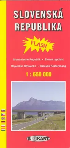 Do auta Automapa Slovensko 1:650 000 - flash - Kolektív autorov