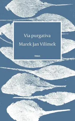 Poézia Via purgativa - Marek Jan Vilímek