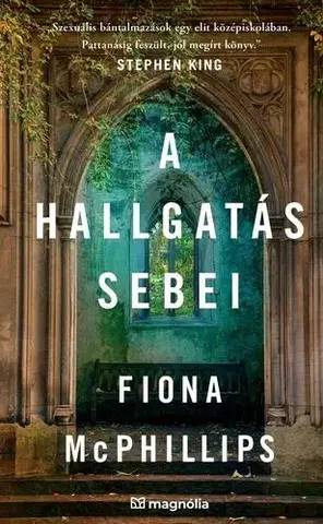 Detektívky, trilery, horory A hallgatás sebei - Fiona McPhillips
