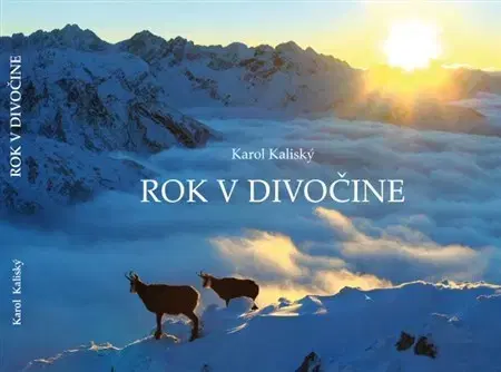 Fotografia Rok v divočine - Karol Kaliský