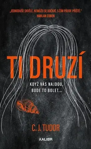 Detektívky, trilery, horory Ti druzí - C. J. Tudor