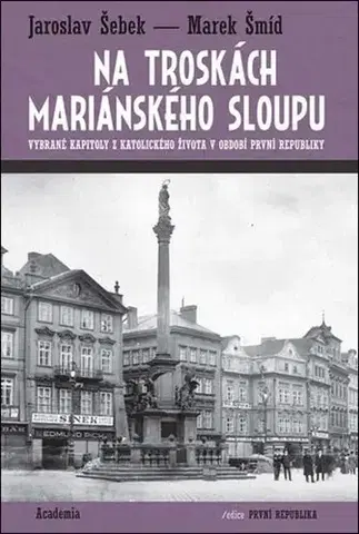 Slovenské a české dejiny Na troskách mariánského sloupu - Jaroslav Šebek,Marek Šmíd