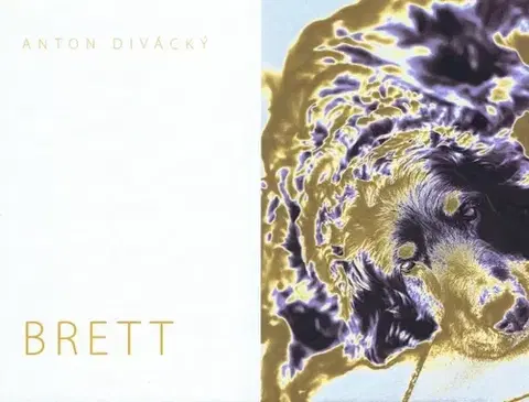 Fotografia Brett - Anton Divácký