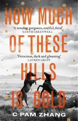 Cudzojazyčná literatúra How Much of These Hills is Gold - Pam Zhang