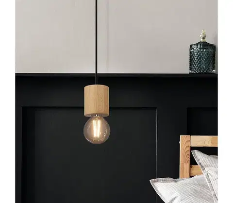 Svietidlá Eglo 901172 - Závesný luster na lanku TURIALDO 1xE27/28W/230V 901172