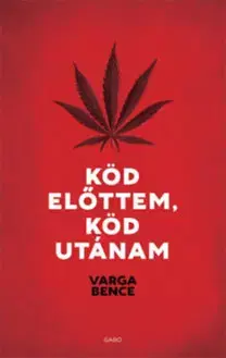 Beletria - ostatné Köd előttem, köd utánam - Bence Varga