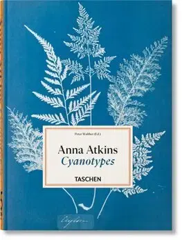 Fotografia Anna Atkins Cyanotypes. - Anna Atkins